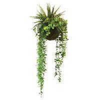 Plantes suspendues KYOTO - Image 2