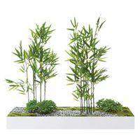 Plateau végétal COLLINE - Image 2