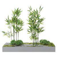 Plateau végétal COLLINE - Image 3