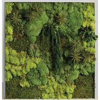 Cadre végétal n 19 - Image principale