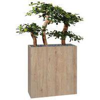 Jardinière bois BOSCO Bonzaî - Image principale