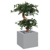 Bac haut métal O'CARRE sur roulettes Bonzaî - Image 3