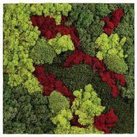 Cadre végétal n 12 - Image 2