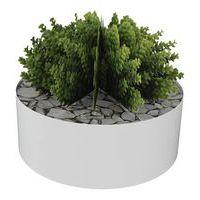 Composition SUCCULENTE 3 Ø 255 mm Blanc - Image principale