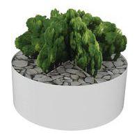 Composition AROMATIQUE 3 Ø 255 mm Blanc - Image principale