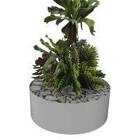 Composition SUCCULENTE 2 - Image 3