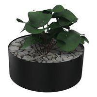 Composition ZENITUDE 2 - Image 3