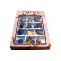 Les fossiles du monde - Image principale