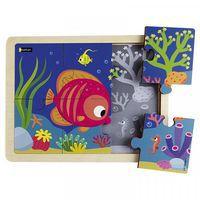 Le poisson tropical - Image principale