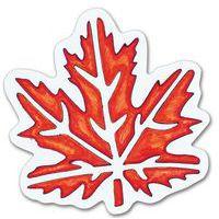 Ensemble de 12 pochoirs variétés de feuilles d'arbres 200 x 200 mm - Image 3