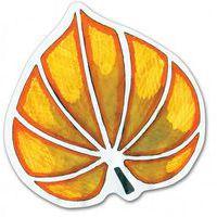 Ensemble de 12 pochoirs variétés de feuilles d'arbres 200 x 200 mm - Image 5