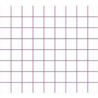 Cahier étudiant piqûre 70g 24x32 cm 5x5 192 pages - Image 2