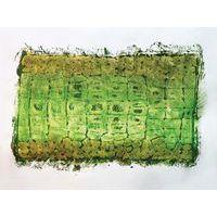 Lot de 10 plaques animaux sauvages 21.5 x 15 cm - Image 3