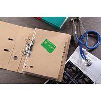 Intercalaires Neutres Touareg A4 6 Positions Carte Recyclée Epaisseur 265g Beige Naturel - Image 2