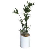 Bac VAGUE composition PAPYRUS blanc - Image principale