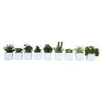 Lot de 9 pots carrés 7x7 blanc 9 plantes - Image principale
