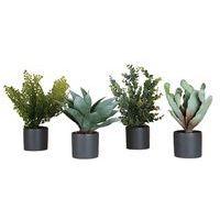 Lot de 4 pots cylindrique gris 4 plantes - Image principale