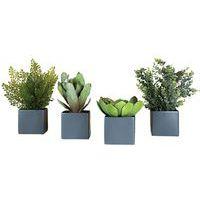 Lot de 4 pots carrés 11x11 gris 4 plantes - Image principale