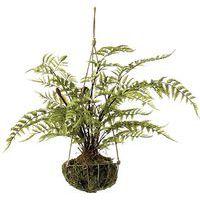 Lot de 2 suspensions fougères - Tanaman - Image principale