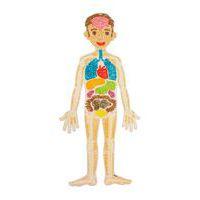 Kit playmais puzzle anatomique - Image 3