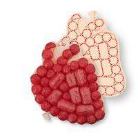 Kit playmais puzzle anatomique - Image 2