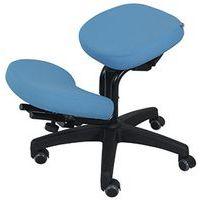 Siège assis genoux inclinable - Image principale