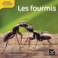 Les docs ribambelle cycle 2 ed. 2014 - les fourmis - Image principale