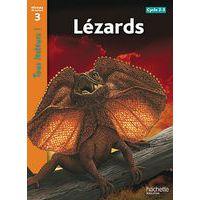 Lezards niveau 3 - tous lecteurs ! - ed.2010 - Image principale