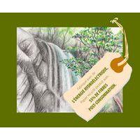 Paquet 250 feuilles dessin recyclé 160g A3 - Image 2