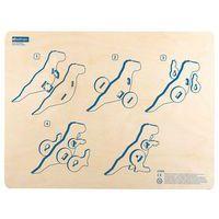 Premières maquettes - le tyrannosaure - Image 2