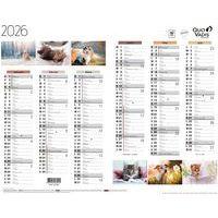 Lot de 10 Calendrier 2025 FANTAISIE 27X21 animaux par 10 - Image principale