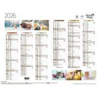 Lot de 10 Calendrier 2025 FANTAISIE 55X40,5 animaux par 10 - Image principale