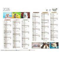 Lot de 10 Calendrier 2025 FANTAISIE 55X40,5 animaux par 10 - Image 2