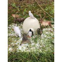 Coffert animaux des environnements froids- 7 figurines- Hope Education - Image 3