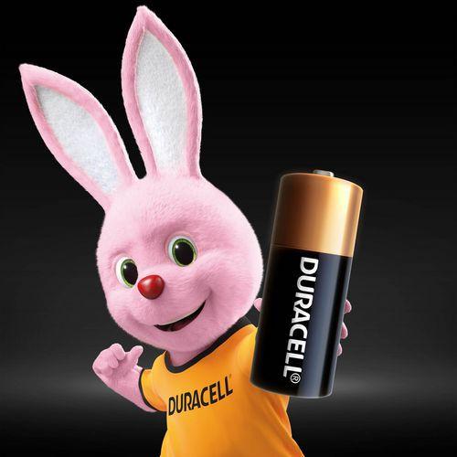 Illustration de : Pile alcaline N LR1 - Pack de 2 - Duracell