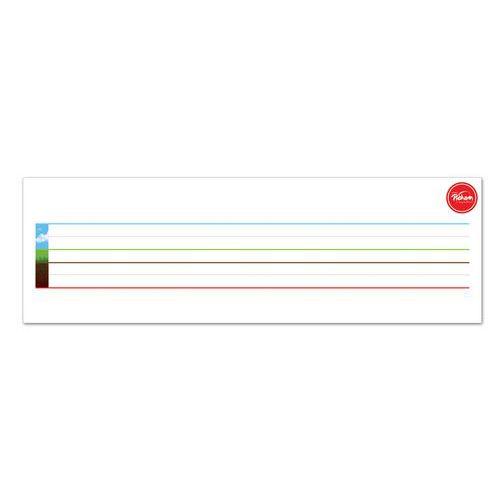 Illustration de : Lot 2 bandes magnétiques 25 cm lignage DYS - Pichon