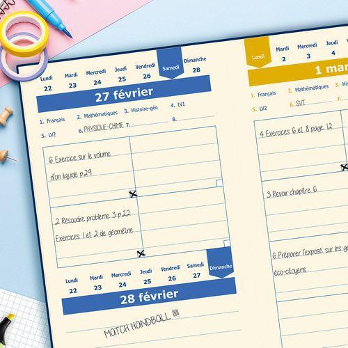 Illustration de : Agenda DYS journalier 13x21 cm multicolore - Quo Vadis