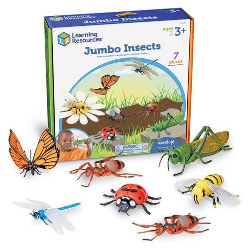 Illustration de : Insectes géants - Learning ressources