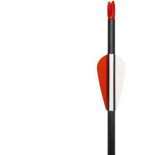 Illustration de : Flèche ventouse