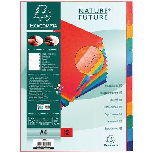 Illustration de : Intercalaire carte lustrée 225g avec onglets 12 positions A4