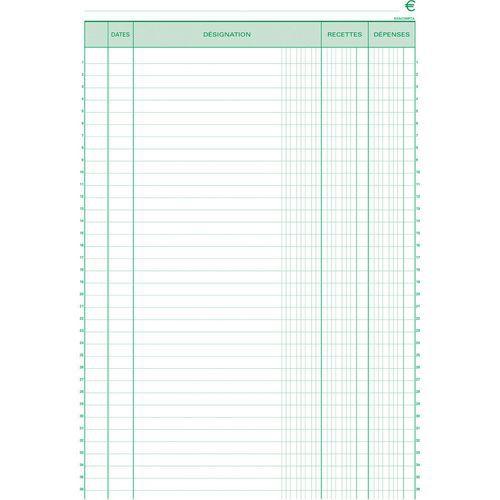 Illustration de : Manifold recettes dépenses 29,7x21cm 50 feuillets