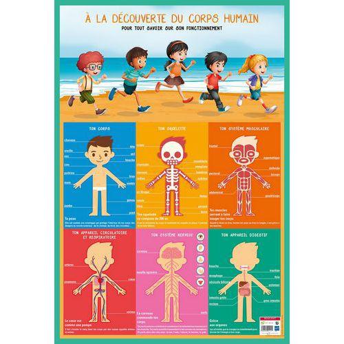 Illustration de : Poster 50x70cm corps humain - Bouchut