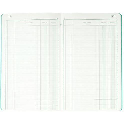 Illustration de : Piqûre 32x19,5cm recettes-dépenses 80 pages