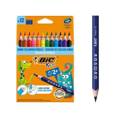 Illustration de : Etui 12 crayons de couleurs - Bic