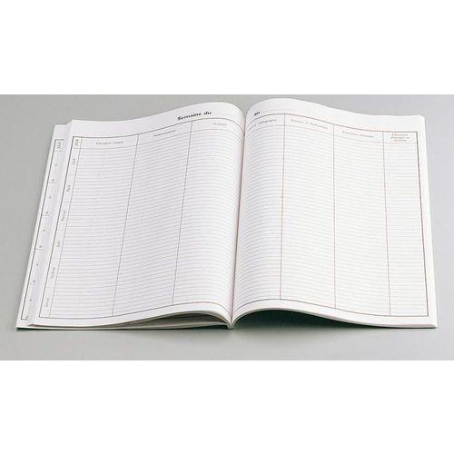 Illustration de : Journal de classe 21x29.7 cm 100 pages