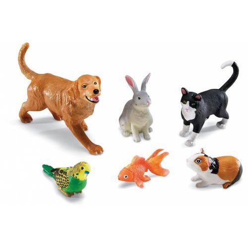 Illustration de : Les animaux de compagnie grande taille - Learning ressources