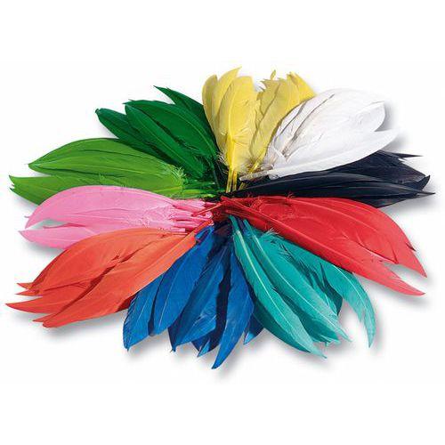 Illustration de : Sachet 100 gr plumes indiens
