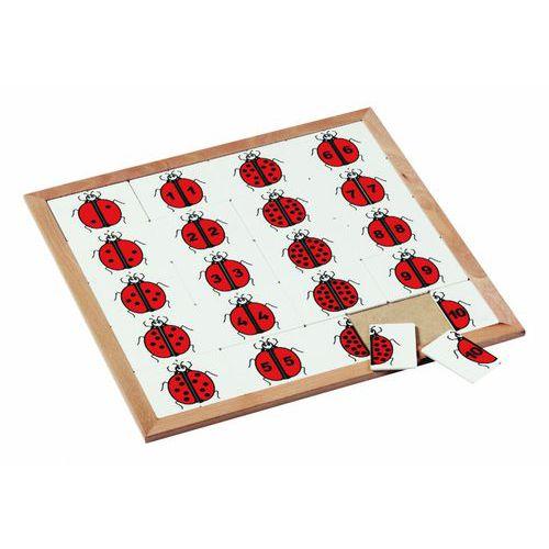 Illustration de : Les coccinelles à compter - Educo