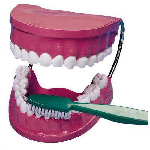 Illustration de : La mâchoire géante