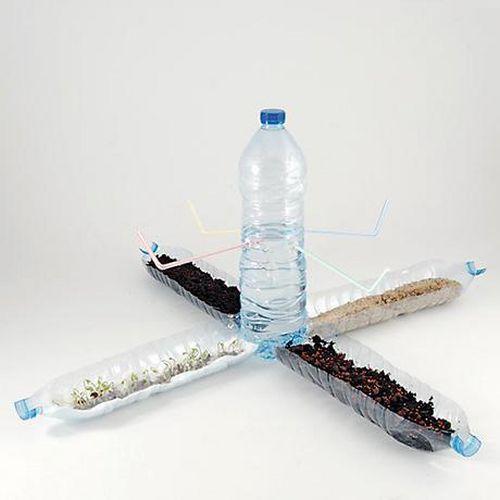 Illustration de : Je recycle mes bouteilles - Radis et Capucine